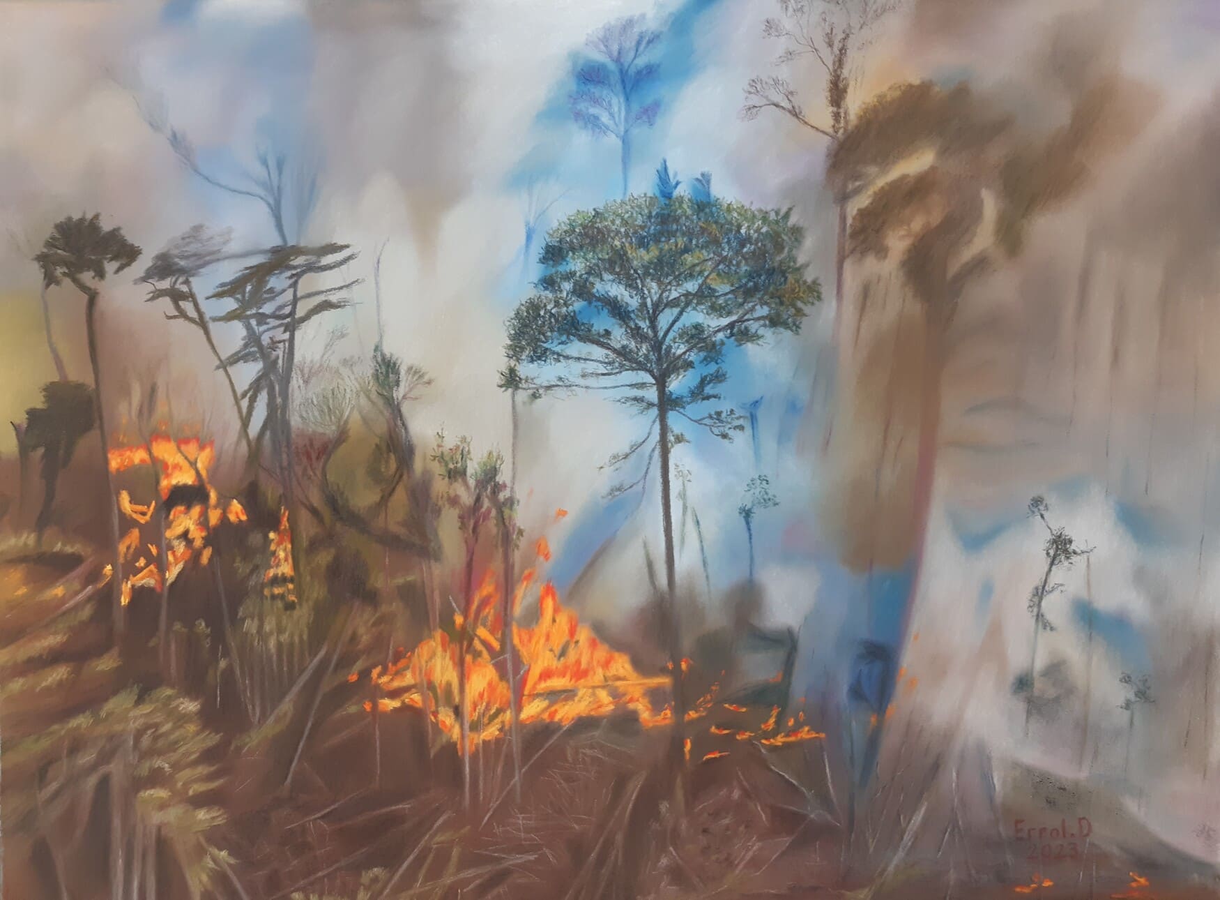 Réchauffement climatique III - 2023 - Pastel sur papier à grains - 65x50 cm